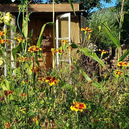 Le Jardin Des Gouttes Bed & Breakfast Rougegoutte Exterior photo